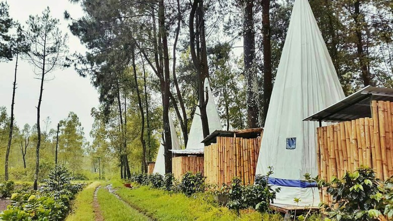 Tempat Camping Keren di Malang
